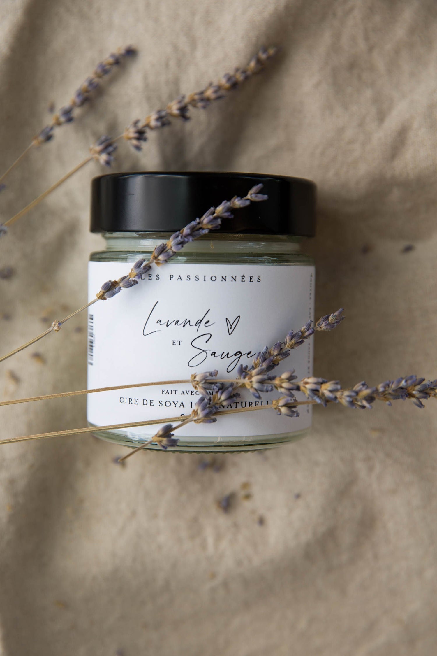 TOUTES LES BOUGIES - Les passionnées