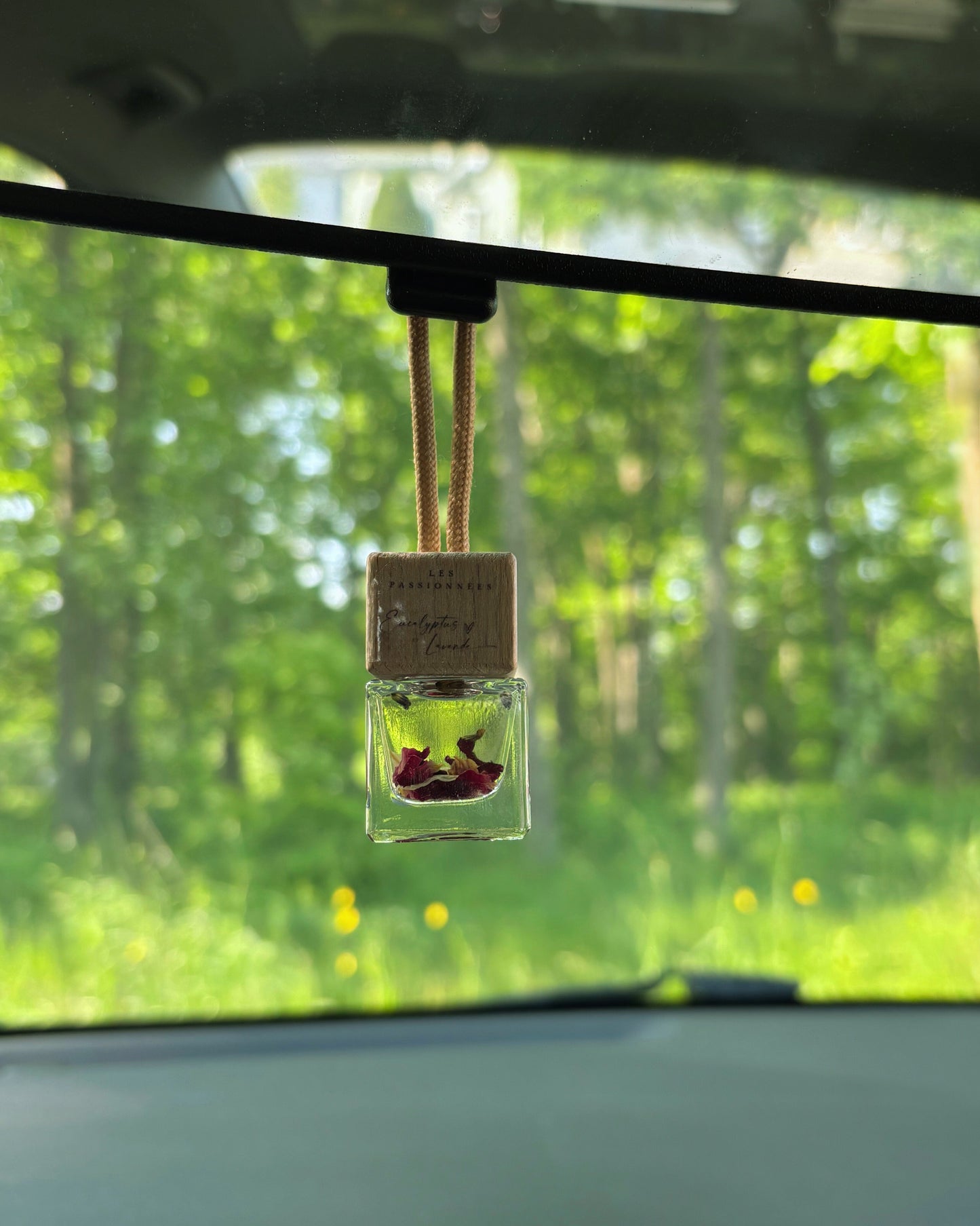 CAR DIFFUSER - Eucalyptus & Lavender