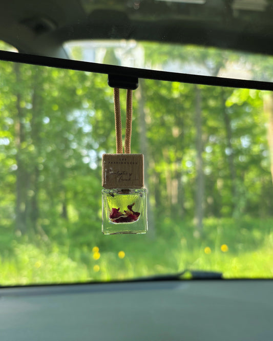 DIFFUSEUR À VOITURE - Eucalyptus & Lavande