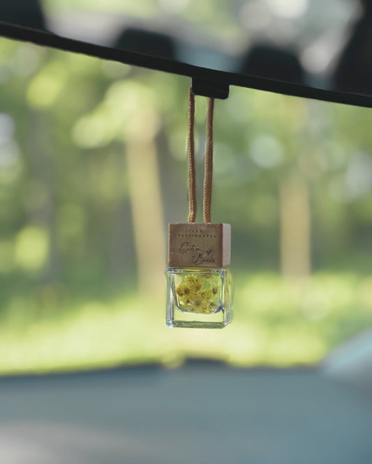 DIFFUSEUR À VOITURE - Citron & Baies