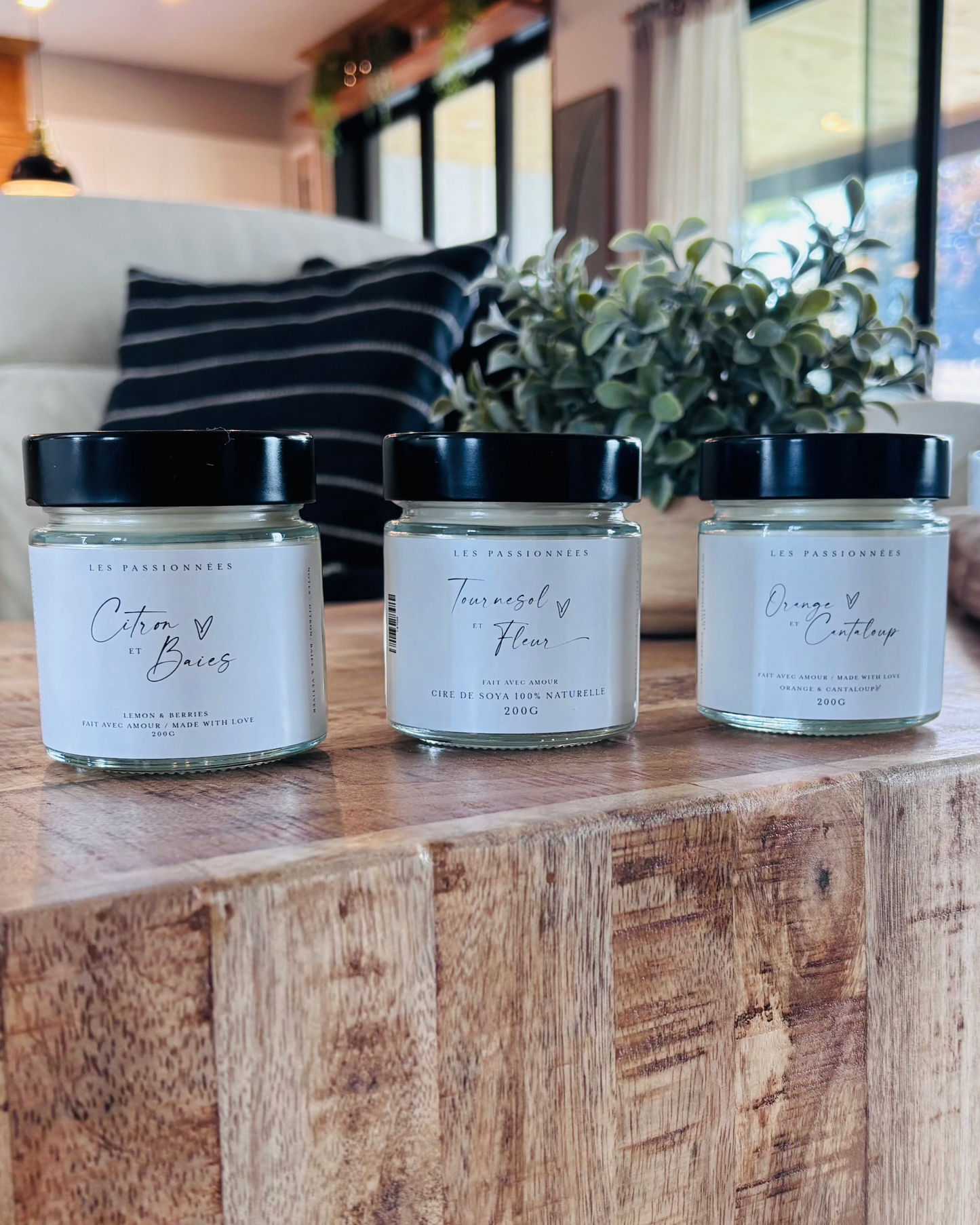 TRIO DE CHANDELLES DE SOYA - Le populaire