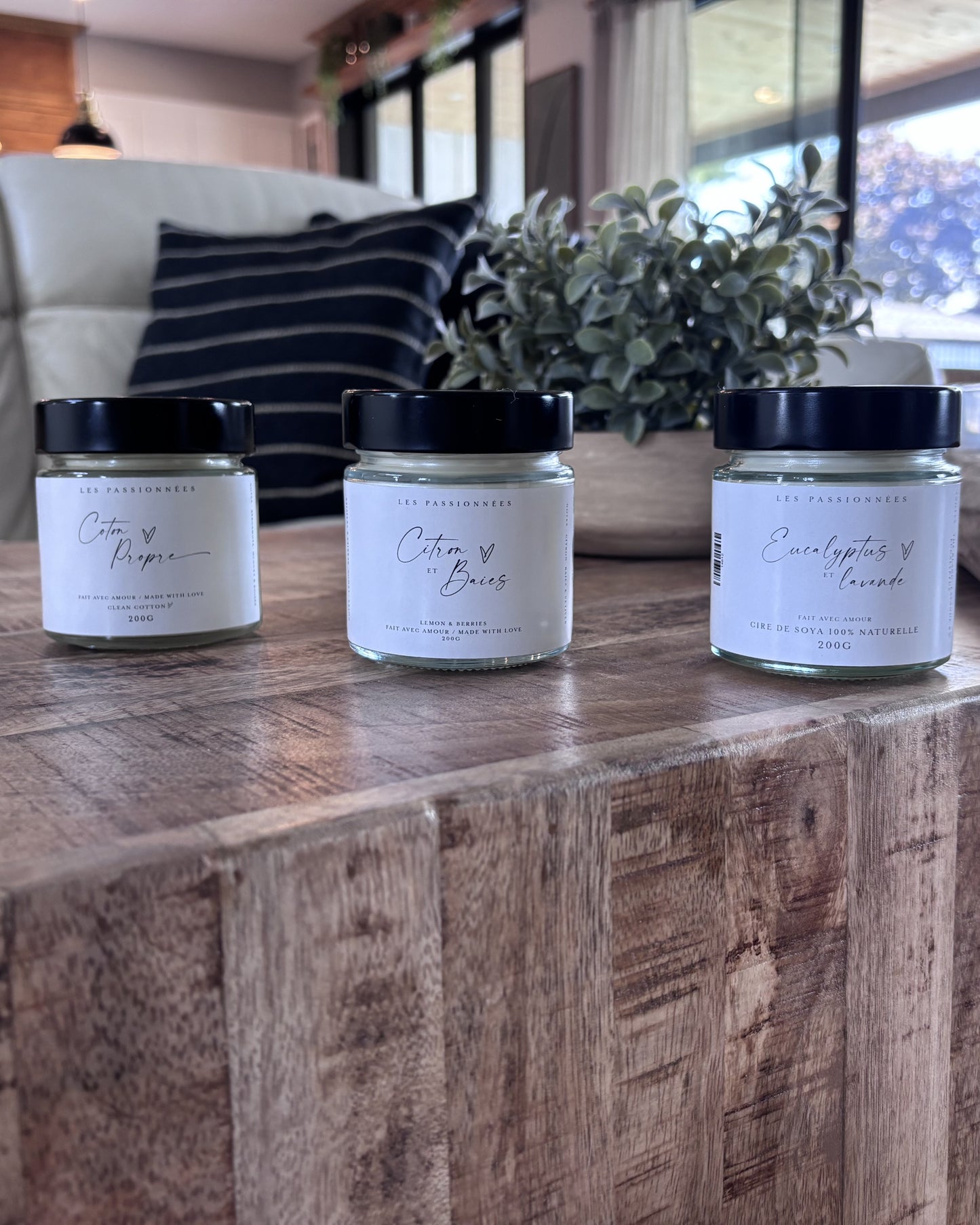 TRIO DE CHANDELLES DE SOYA - Le Frais