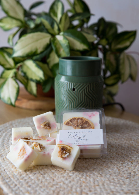 tablettes de cire artisanales citron et baies avec agrumes séchés