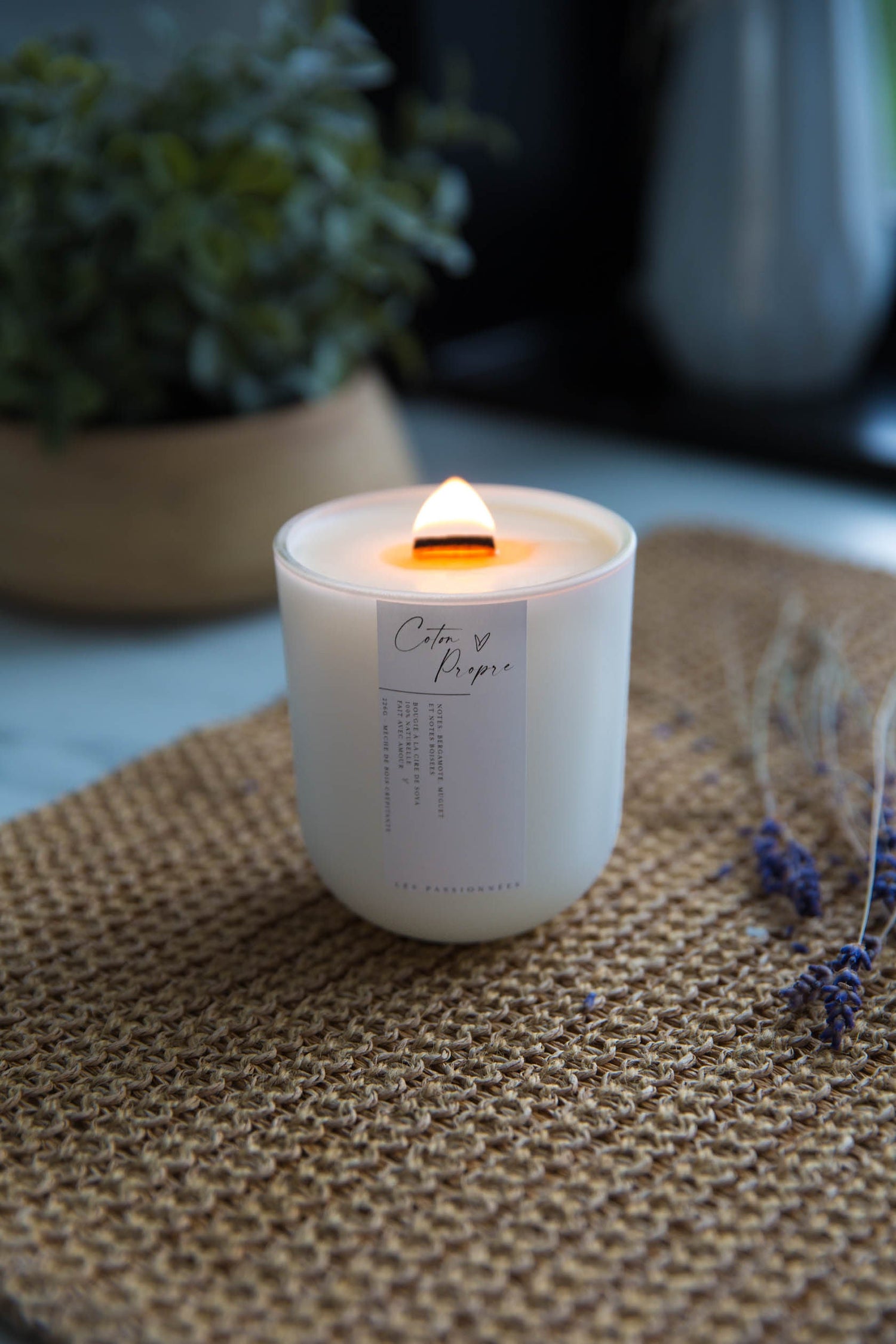 Chandelle parfumée rechargeable Coton Propre allumée, fabriquée au Québec. Parfum frais et réconfortant évoquant le linge propre, dans un contenant réutilisable minimaliste – Les Passionnées.