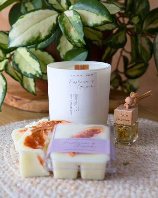 REFILLABLE SCENTED CANDLE – Grapefruit & Ginger