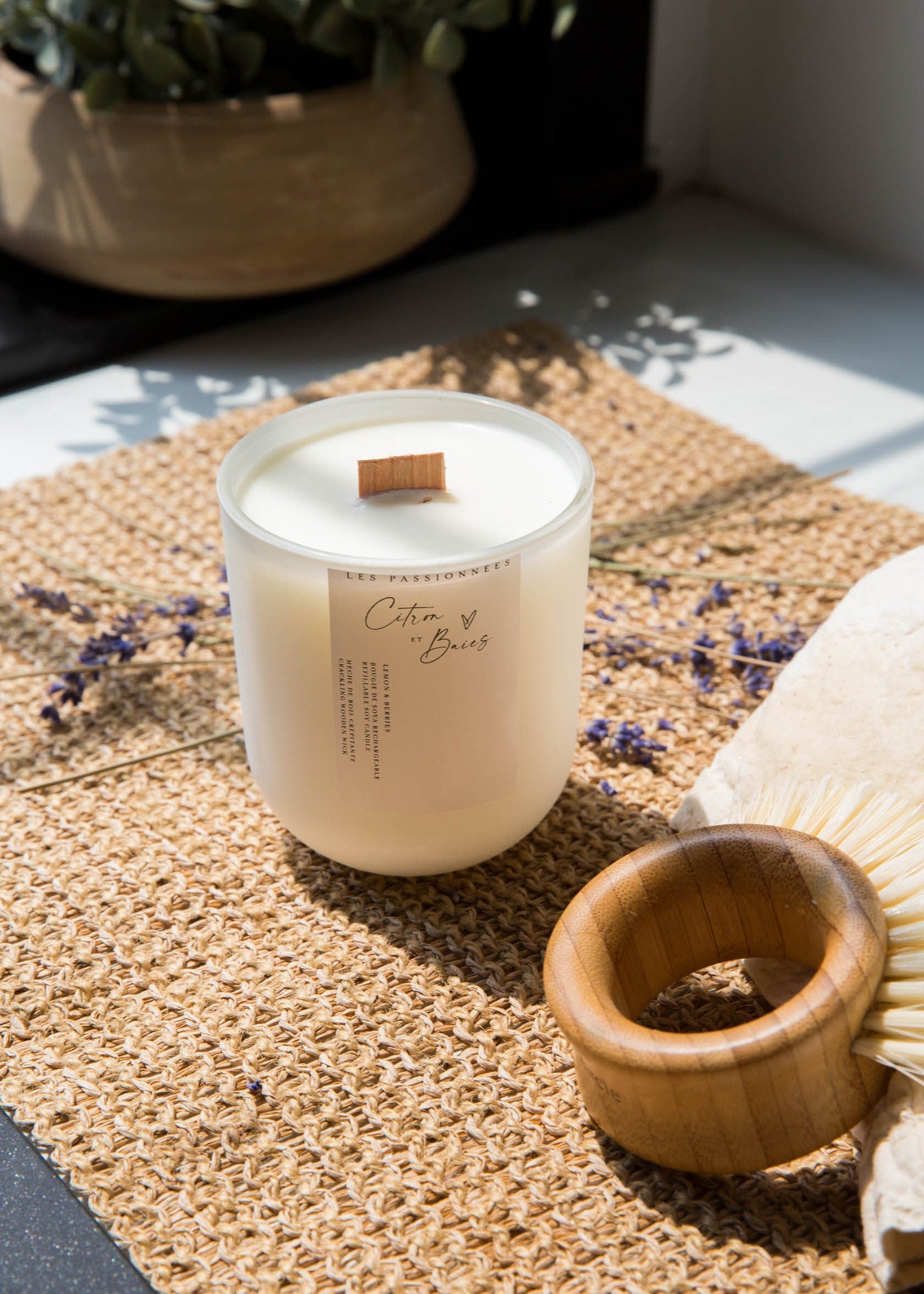 Chandelle parfumée rechargeable Citron & Baies dans un pot réutilisable, ambiance naturelle et chaleureuse