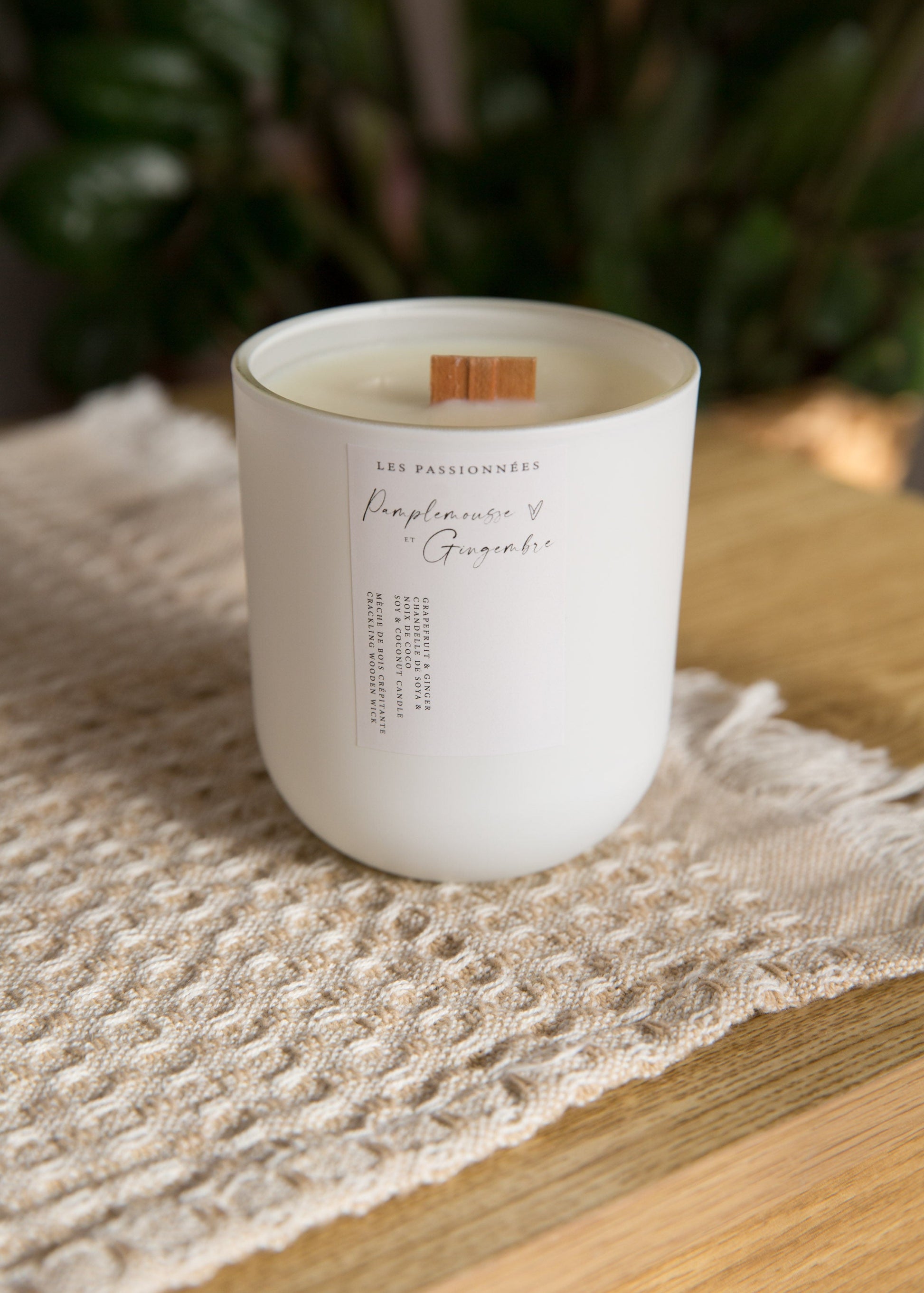 Chandelle rechargeable blanche parfumée pamplemousse et gingembre sur fond naturel