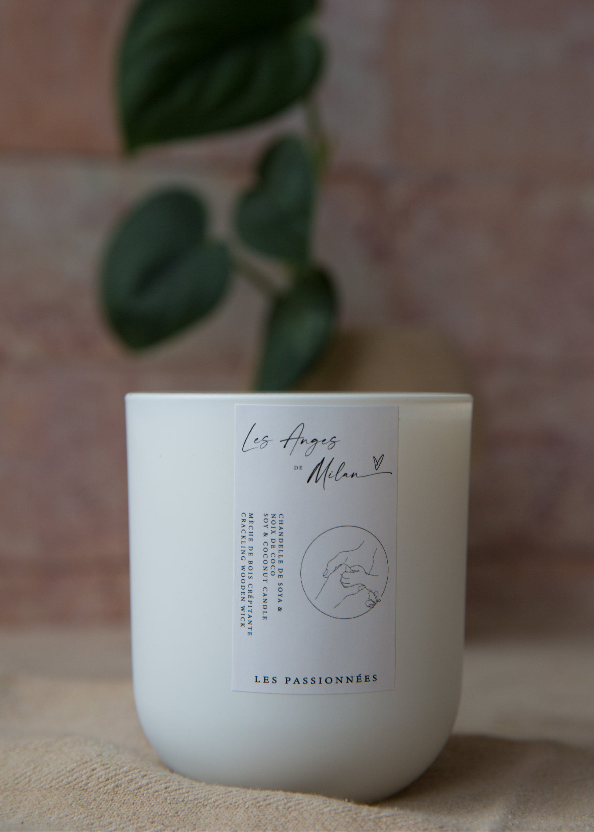 Chandelle blanche minimaliste avec plante, chandelle solidaire en hommage à Milan avec profits remis à la fondation Les Anges de Milan