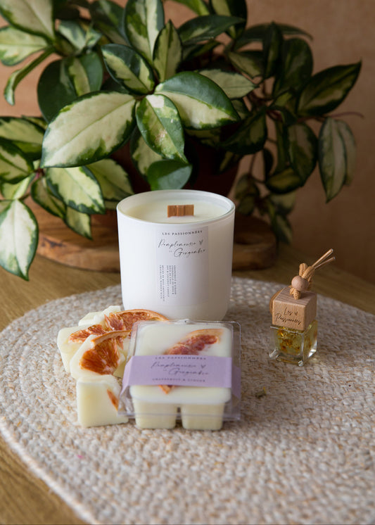 Coffret parfumé pamplemousse et gingembre avec chandelle rechargeable, cubes de cire et diffuseur à voiture sur tapis naturel
