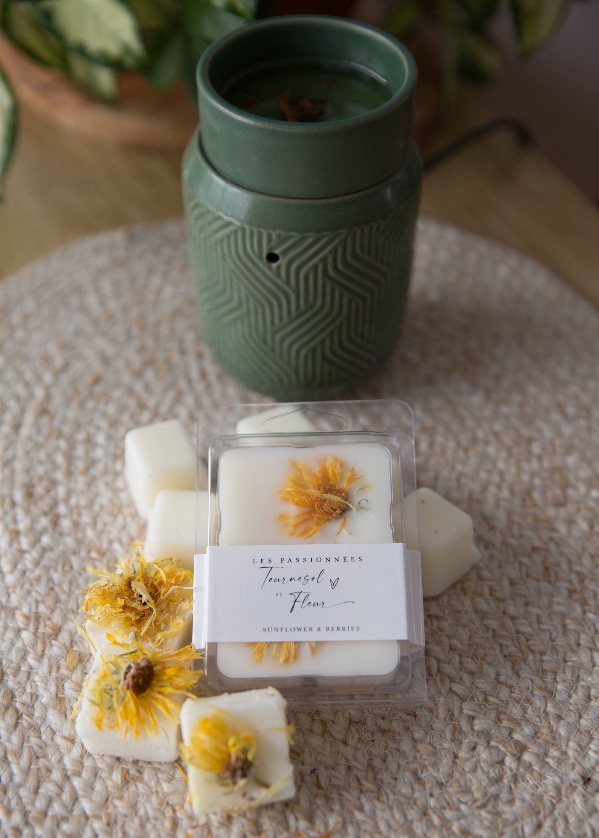 cubes de cire parfumés tournesol et fleur en decor naturel
