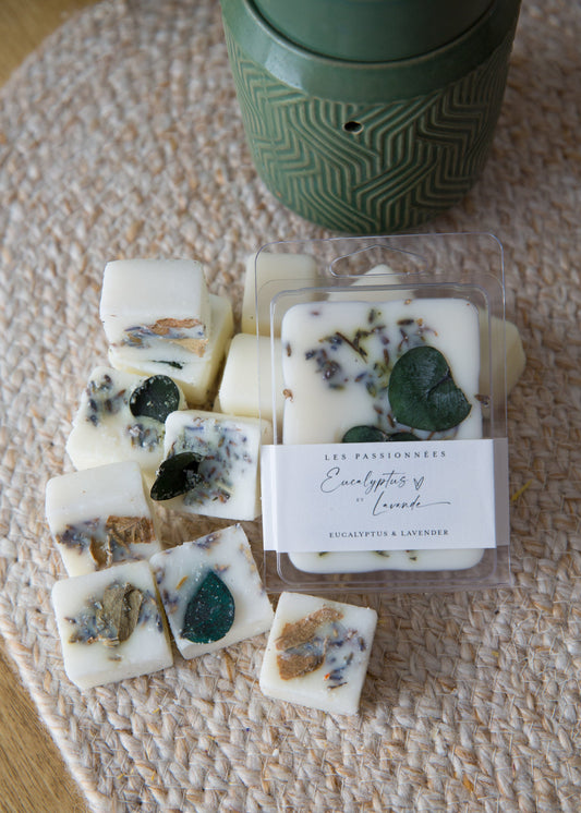cubes de cire parfumés eucalyptus et lavande faits à la main au Québec
