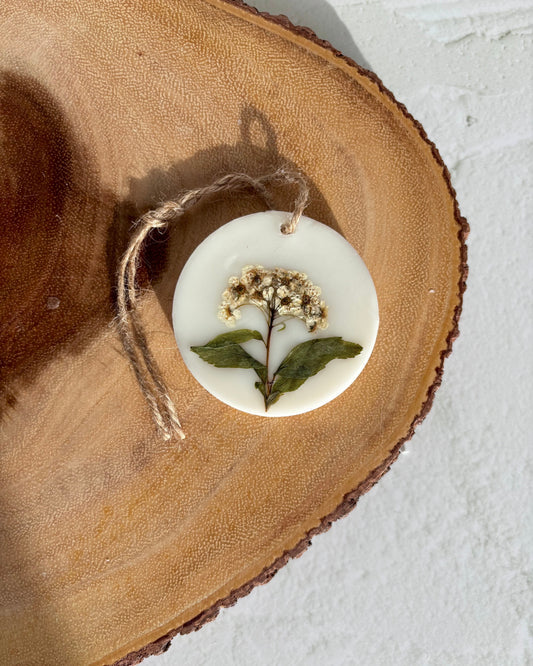 🎁 TABLETTE PARFUMÉE - Matcha & Bergamot (100% off)