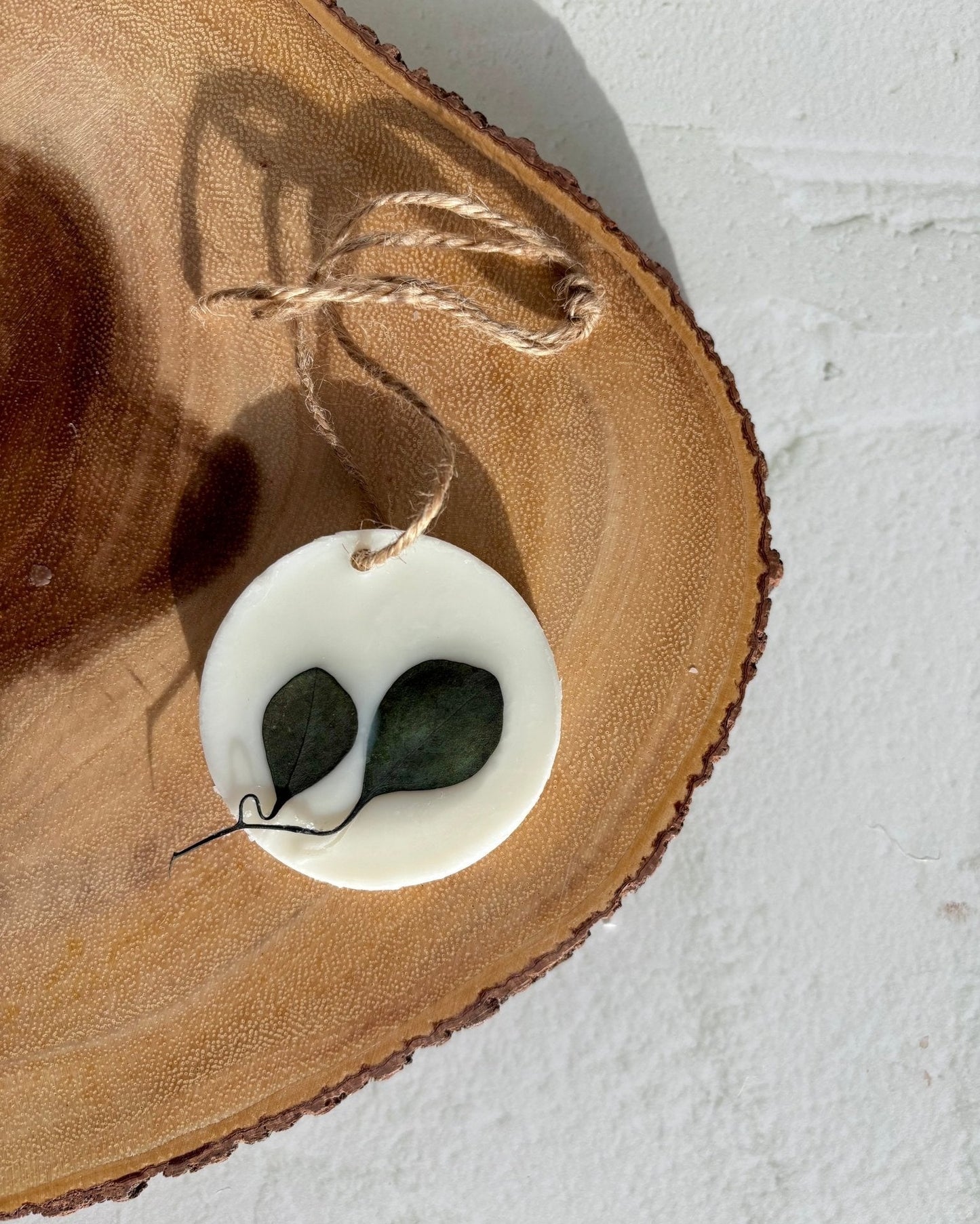 🎁 TABLETTE PARFUMÉE - Eucalyptus (100% off)