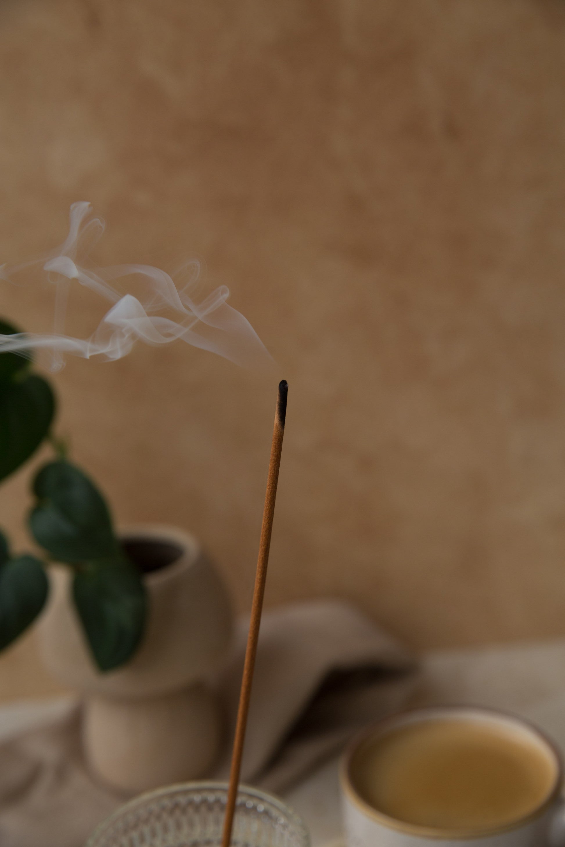 Encens parfumé Citron et Baies avec fumée, ambiance chaleureuse pour la maison avec tasse et plante