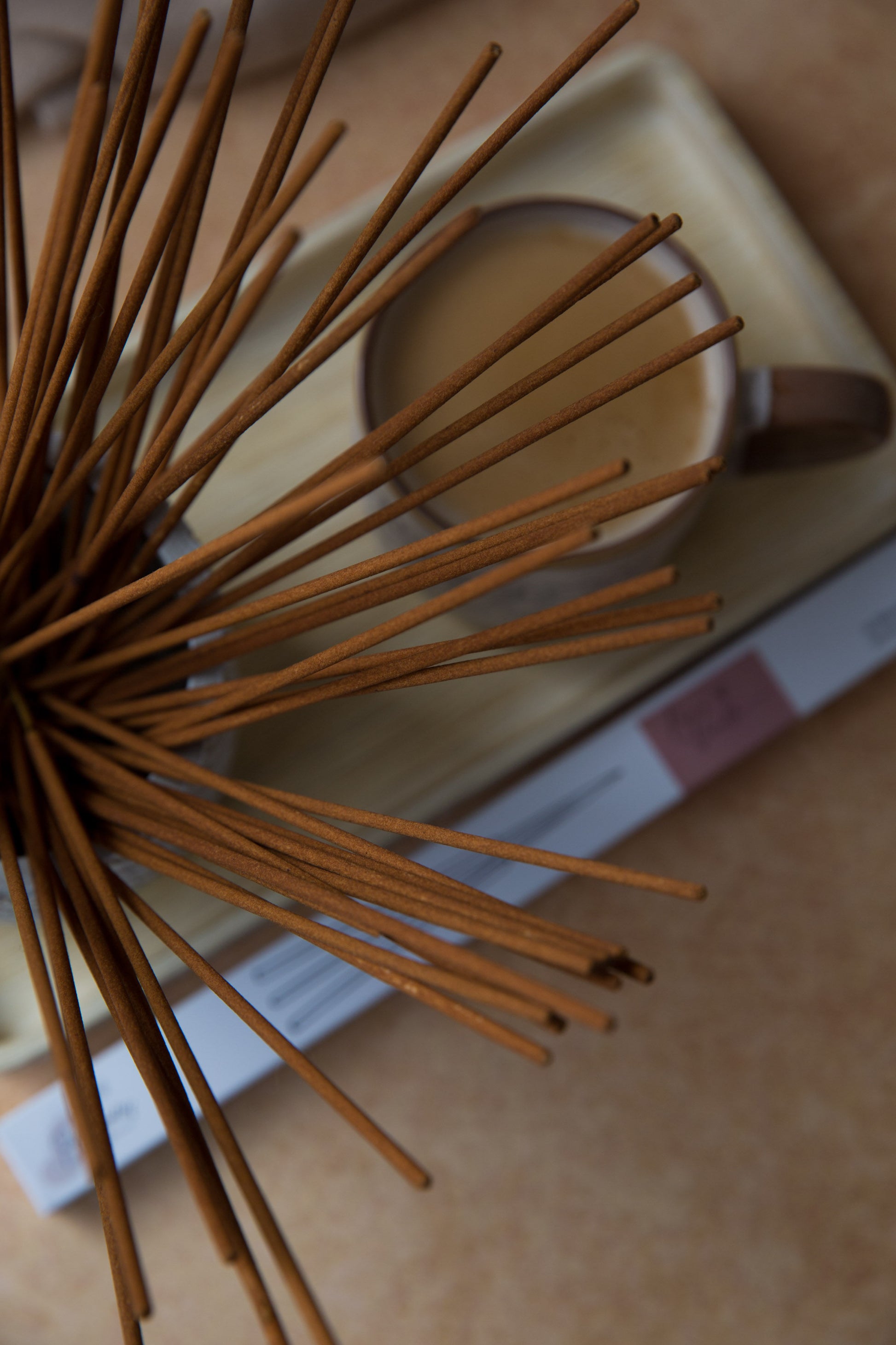 Bâtons d’encens parfumé Eucalyptus et Lavande disposés sur un plateau, parfum frais et herbacé pour la maison