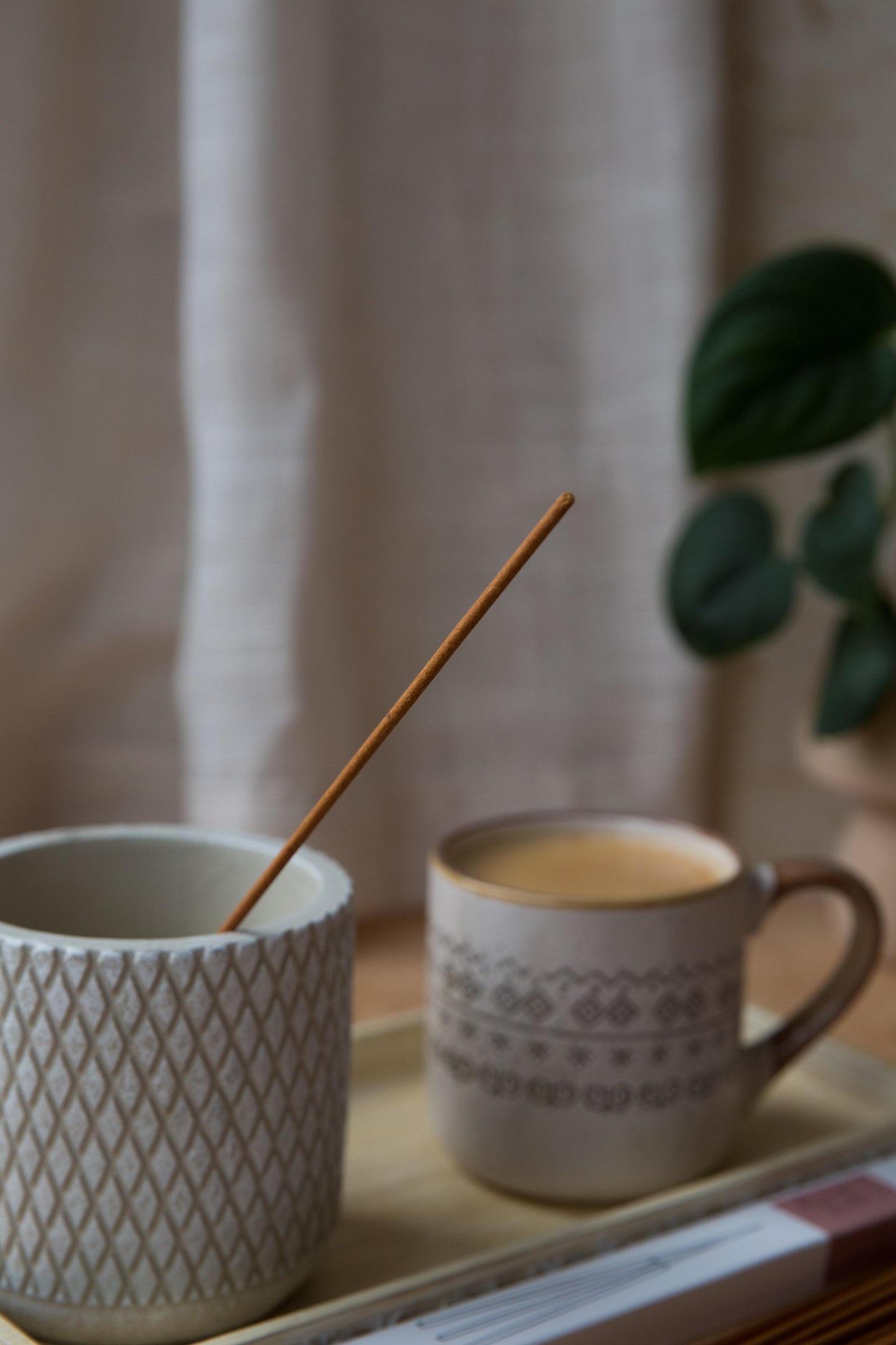 Encens parfumé Framboise et Pin avec fumée, ambiance réconfortante et parfum fruité et boisé