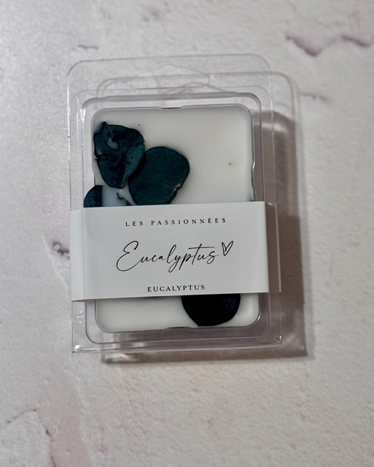 CUBES PARFUMÉS - Eucalyptus