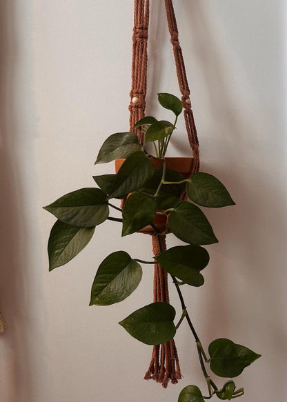 Jardiniere Noeud plat suspendue en macrame avec plante d interieur, style boheme naturel