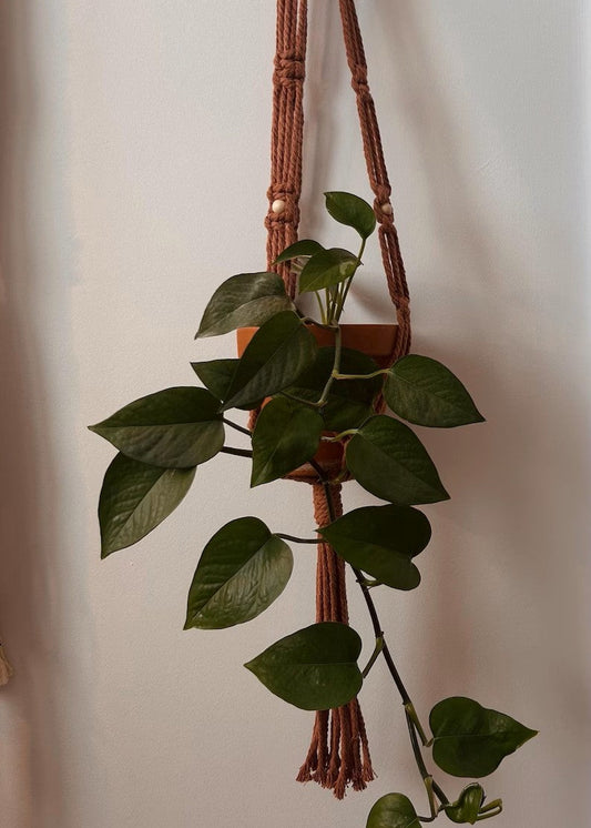 Jardiniere Noeud plat suspendue en macrame avec plante d interieur, style boheme naturel