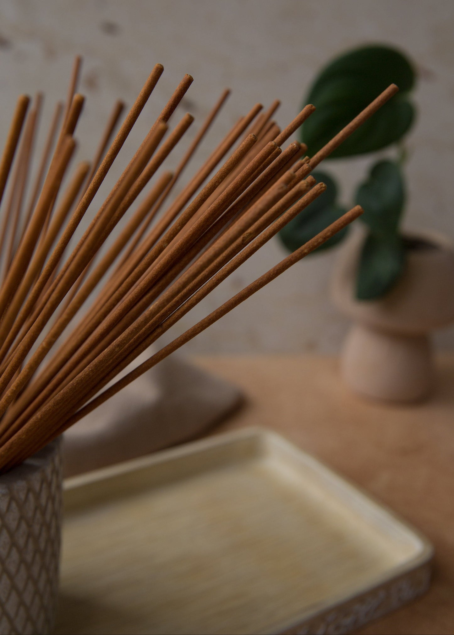 Bâtons d’encens parfumé Orange et Cantaloup avec plante, ambiance naturelle et parfum fruité pour la maison