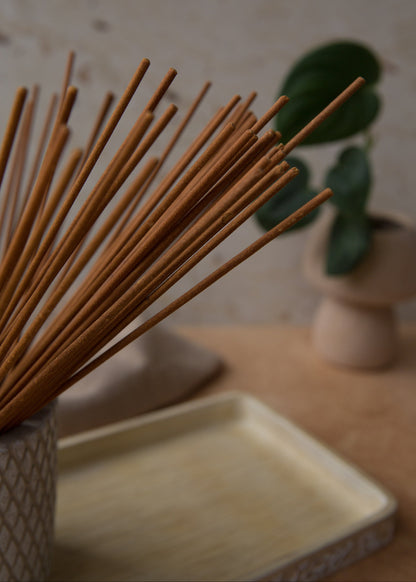 Bâtons d’encens parfumé Orange et Cantaloup avec plante, ambiance naturelle et parfum fruité pour la maison