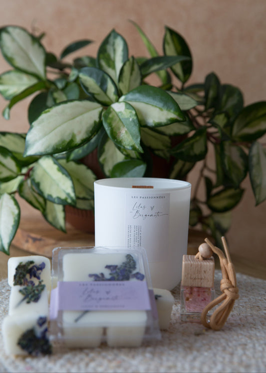 Coffret douceur printanière lilas et bergamote avec chandelle, diffuseur et cubes de cire dans un décor naturel
