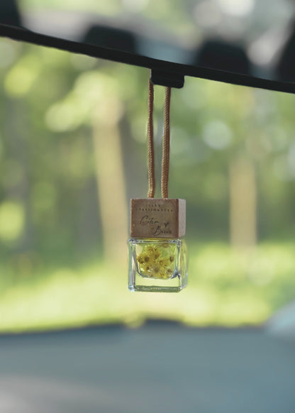 Diffuseur pour voiture suspendu au rétroviseur parfum Citron & Baies