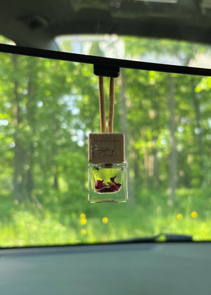Diffuseur pour voiture suspendu au rétroviseur parfum eucalyptus & lavande