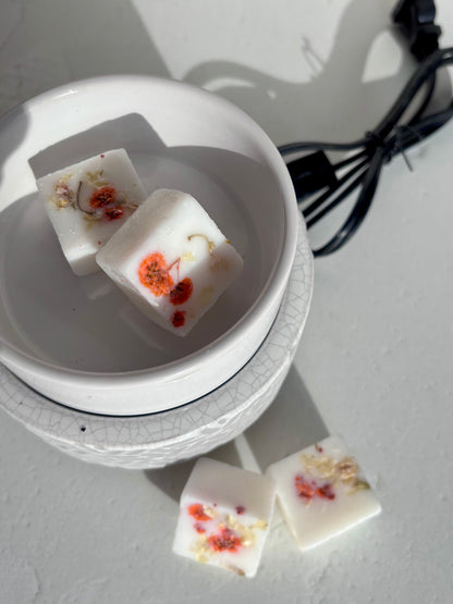 diffuseur stone les passionnees