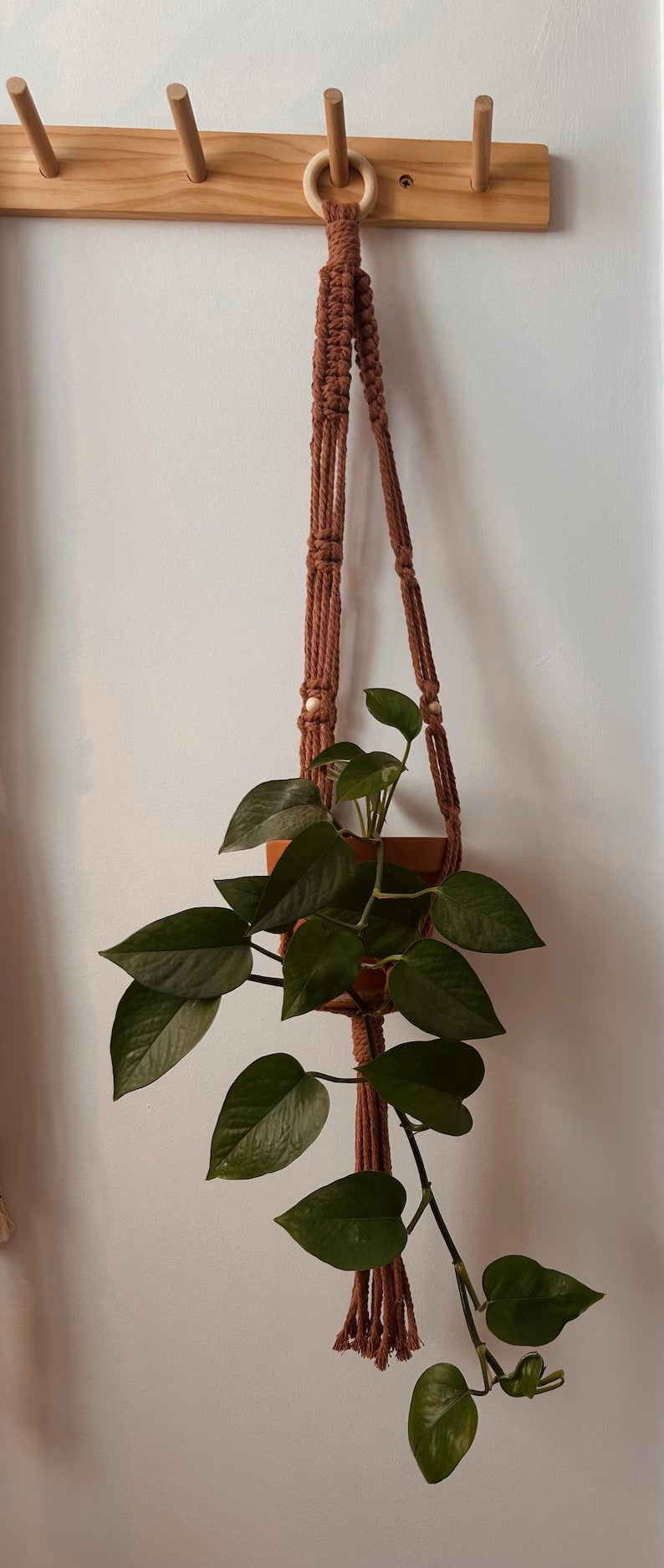 JARDINIÈRE - Noeud plat