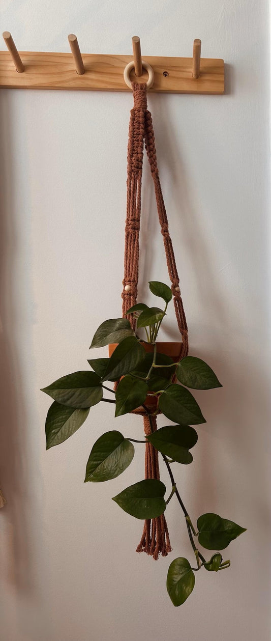 JARDINIÈRE - Noeud plat