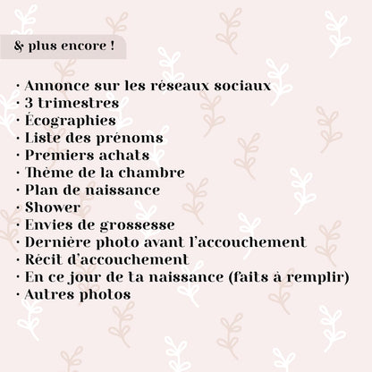 MON JOURNAL DE GROSSESSE - Couverture Rigide - Les passionnées